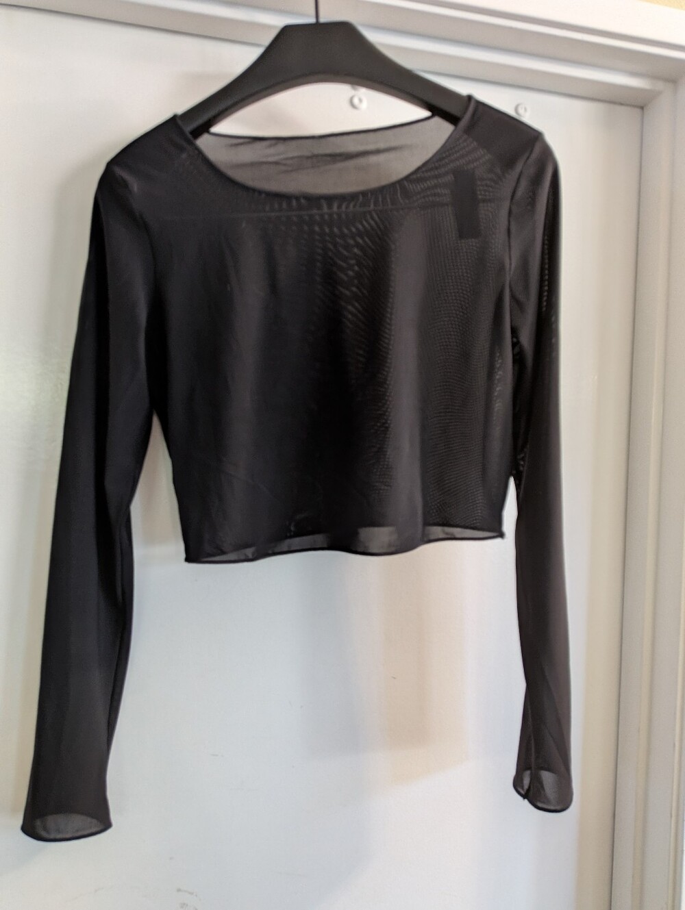 Alo Black Sheer Long-Sleeve Crop Top